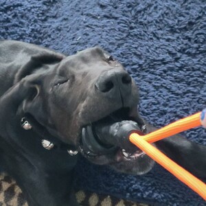 Annastasia hat ein Foto des gekauften Artikels hinzugefügt