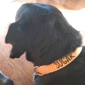 Kristi added a photo of their purchase