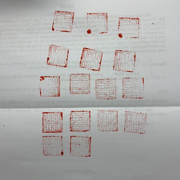 Custom Chinese Name Chop / Personal Asian Stamp Seal / Natural Red ...