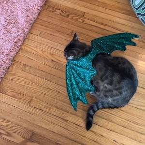 Erica added a photo of their purchase