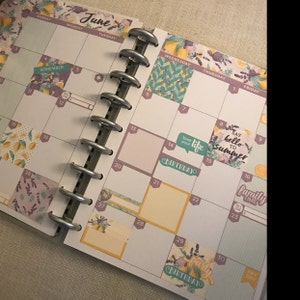 Happy Planner June Monthly Kit, June Happy Planner Printable Stickers ...