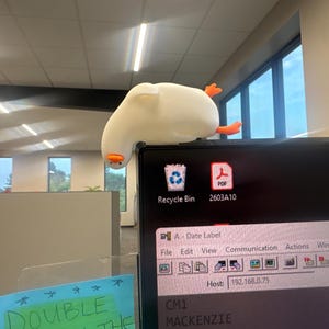 MacKenzie hat ein Foto des gekauften Artikels hinzugefügt