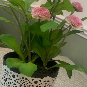 Harpreet added a photo of their purchase