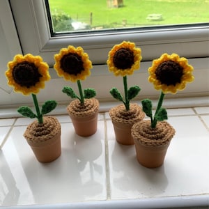 Amy added a photo of their purchase