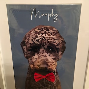 Susan added a photo of their purchase