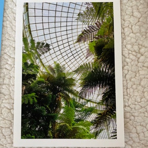 Tringa added a photo of their purchase
