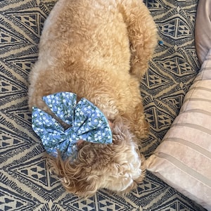 Penny added a photo of their purchase