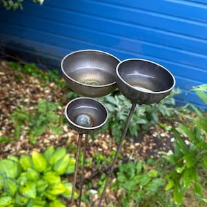 Charlotte added a photo of their purchase
