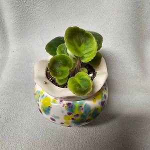 JCraft added a photo of their purchase