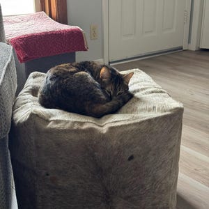 Susan added a photo of their purchase