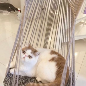 y added a photo of their purchase