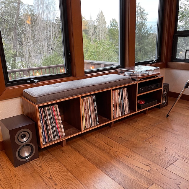 Record sale storage bench