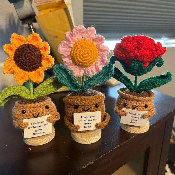 Cute Handmade Crochet Forget Me Nots-emotional Support Plant-thank You ...