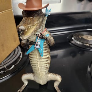 Lindsay added a photo of their purchase