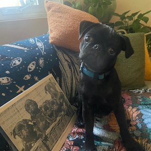 Gretchen added a photo of their purchase