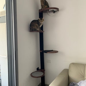Katya added a photo of their purchase