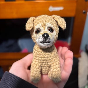 Isabelle added a photo of their purchase