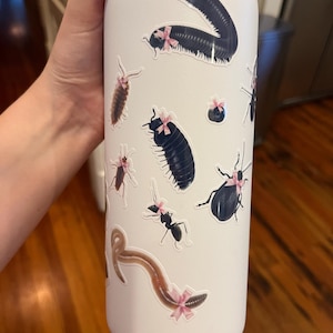 Maddie added a photo of their purchase