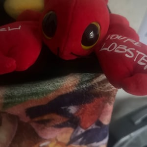 Jessica hat ein Foto des gekauften Artikels hinzugefügt