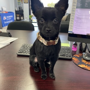 Leslie added a photo of their purchase