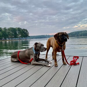 Coyote added a photo of their purchase