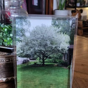 Lisa added a photo of their purchase