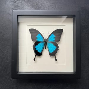 Comprador de Etsy ha añadido una foto de su compra