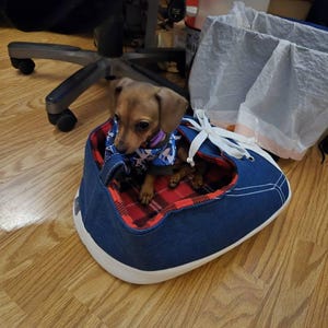 Luc added a photo of their purchase