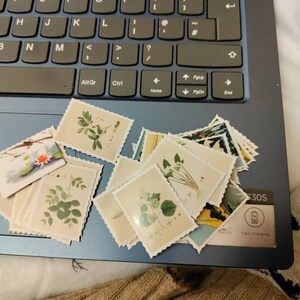 Lilly added a photo of their purchase