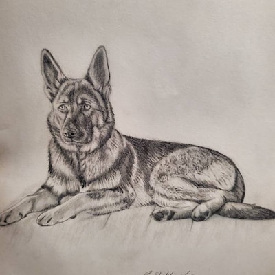 8x10 Bunny Rabbit Sweet Animal Graphite Pencil Hand Sketched Drawing ...