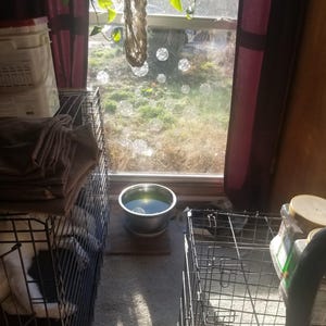 DEBBIE added a photo of their purchase