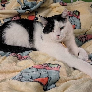 Etsy-Käufer:in hat ein Foto des gekauften Artikels hinzugefügt