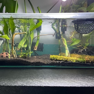 Addison added a photo of their purchase