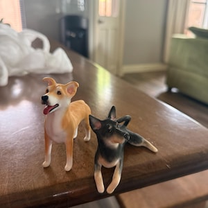 Xochitl added a photo of their purchase
