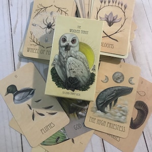 Clare さんが購入した商品の写真を追加しました