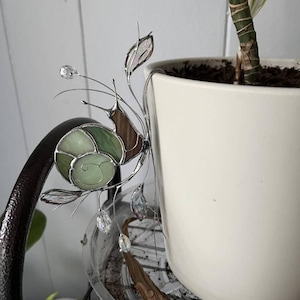 Kayla ha aggiunto una foto del proprio acquisto