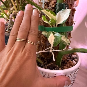 jaclyn hat ein Foto des gekauften Artikels hinzugefügt