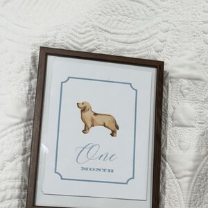Ivy added a photo of their purchase