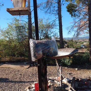 Debbie added a photo of their purchase
