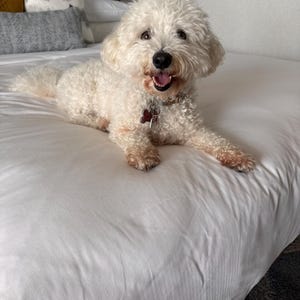 Subrina a ajouté une photo de son achat