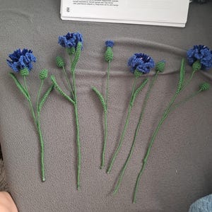 Ildikó added a photo of their purchase
