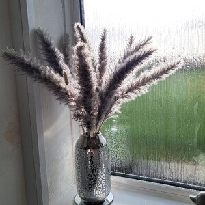 Claire added a photo of their purchase