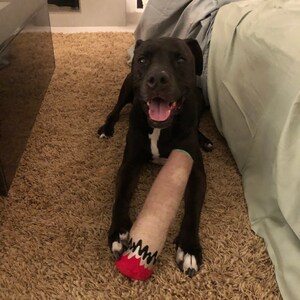 Hemp joint Cigarette Dog Toy - Etsy