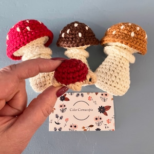 Kathy added a photo of their purchase