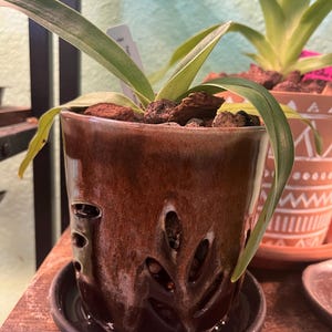 Michele added a photo of their purchase