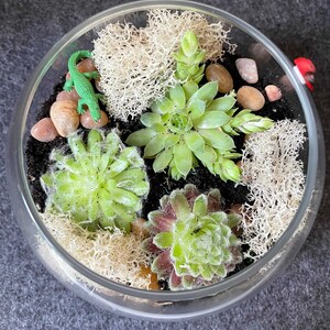 Aileen added a photo of their purchase