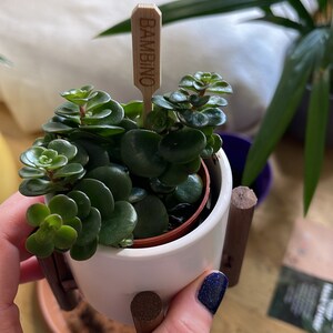 Rea ha añadido una foto de su compra