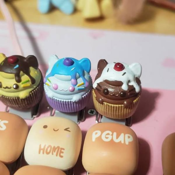 Sneaker Wall Mounted Display Rack , Sneaker Collector , Invisible Shoe ...