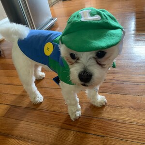 Luigi Hundekostum Mario Kart Kostum Halloween Hundekostum Etsy