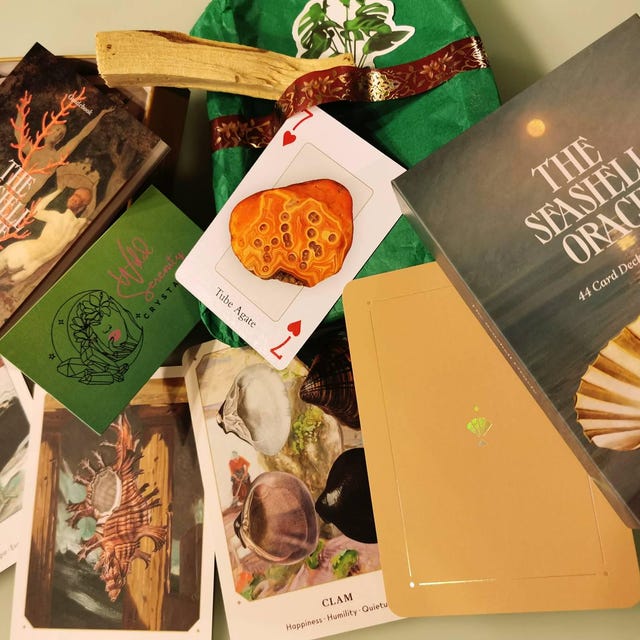 The Seashell Oracle Cards: 44 Card Deck for Divination - Etsy